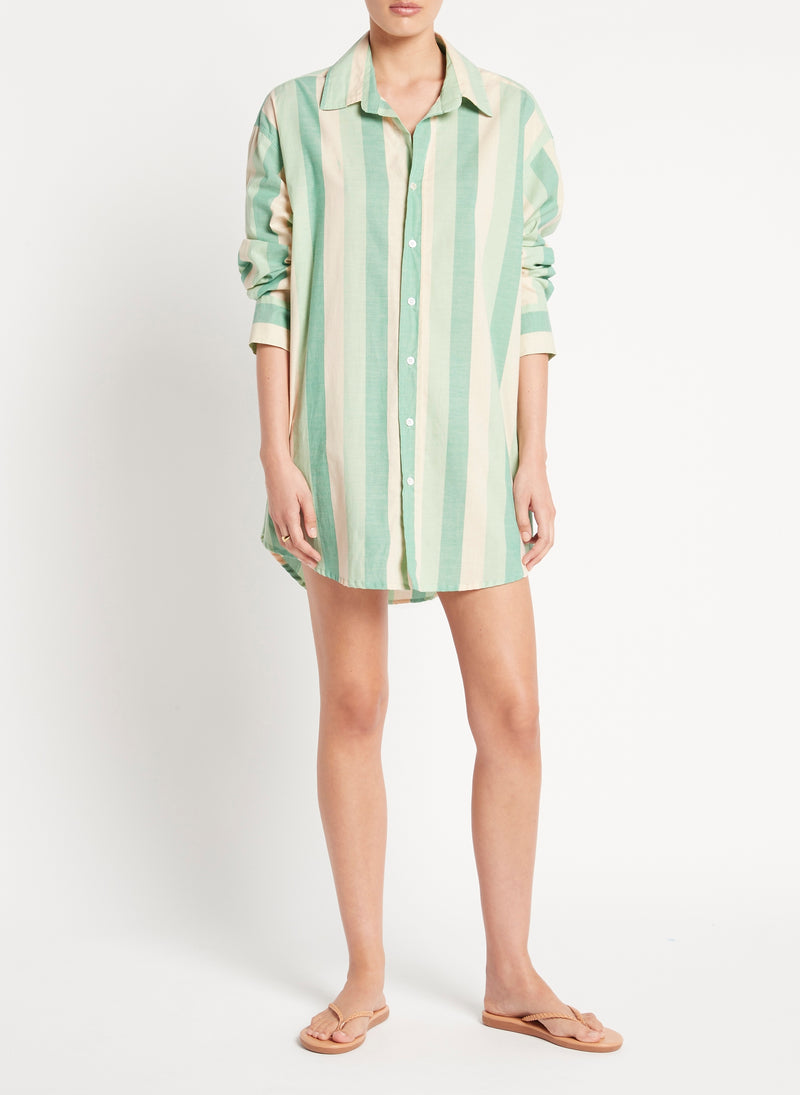 Vega Shirt - Pape Stripe Green